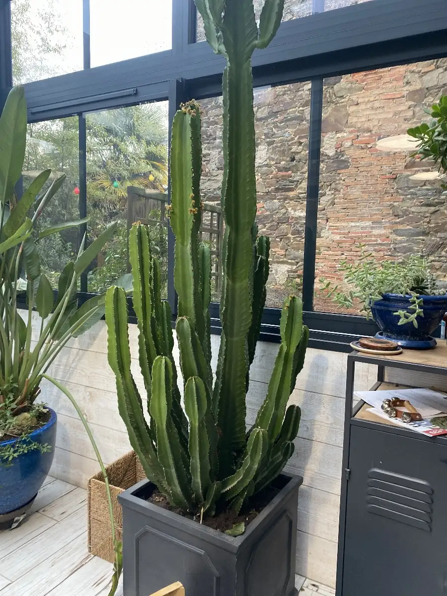 gig8.5.9). J uvuvivib