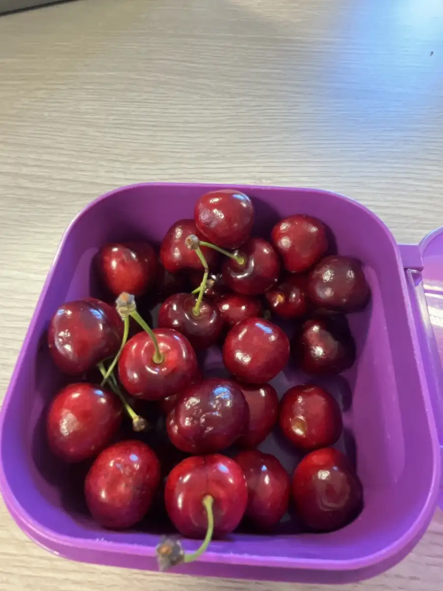 Cerise